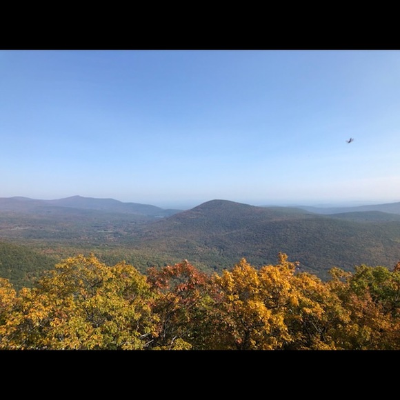 Meet your Posher, Anya - Picture 3 of 13